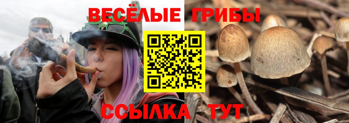 Галлюциногенные грибы ЛСД  Псилоцибиновые грибы MAGIC MUSHROOMS  Армавир  Вход с VPN 