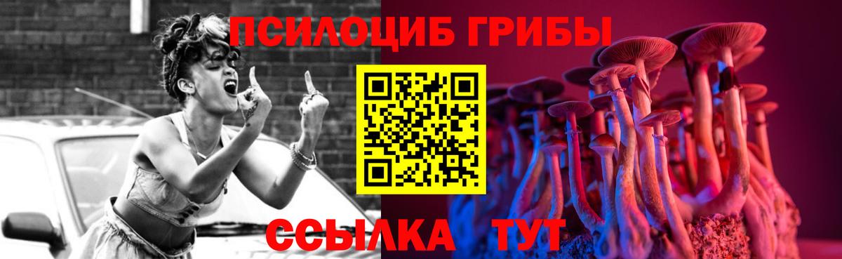 Галлюциногенные грибы прущие грибы Армавир